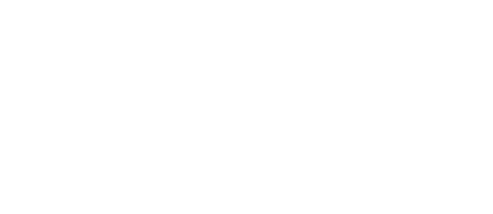 Raybestos